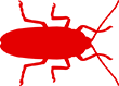 Дезинсекция